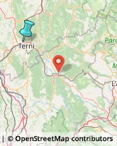 Liquori - Vendita,05100Terni