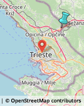 Articoli Sportivi - Dettaglio,34016Trieste