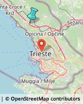 Articoli Sportivi - Dettaglio,34010Trieste