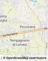 Trasporti Eccezionali,55100Lucca