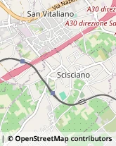 Via S. Borzillo, 15,80030Scisciano