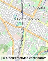 Via Cavedone, 6/A,40139Bologna