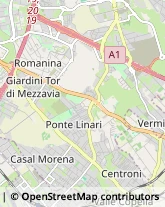 Via Francesco Antolisei, 6,00173Roma