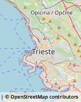 Sport - Scuole,34121Trieste