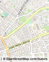 Viale Giovanni Paolo II, 31,73100Lecce