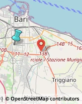 Locali, Birrerie e Pub,70124Bari