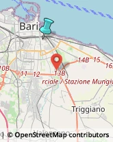 Agenzie di Vigilanza e Sorveglianza,70126Bari