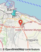 Bingo,70124Bari