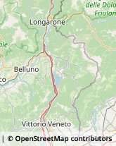 Studi Medici Generici,32100Belluno