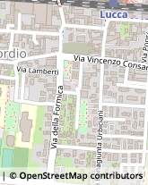 Via della Formica, 114,55100Lucca