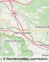 Via Prenestina Nuova, 301/C3,00036Palestrina