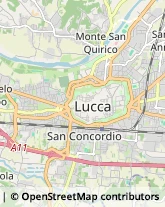 Istituti di Bellezza,55100Lucca