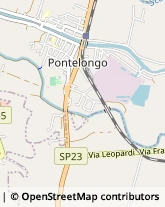 Via Dante Alighieri, 55,35029Pontelongo