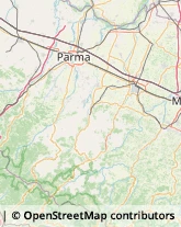 Estetiste,43035Parma