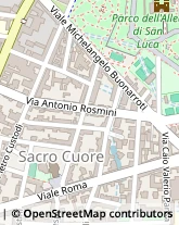 Via Scavini, 4/B,28100Novara