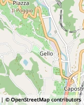 Trasporti Celeri,51100Pistoia