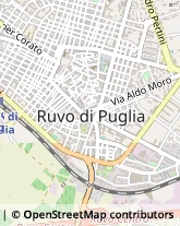 Corso Domenico Cotugno, 13,70037Ruvo di Puglia