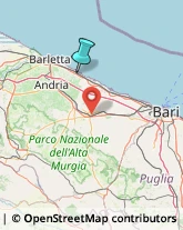 Liquori - Vendita,76125Barletta-Andria-Trani