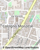 Viale Piave, 9,20093Cologno Monzese