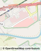 Via Portuense, 1555,00148Roma