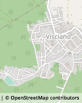 Via Giuseppe Garibaldi, 2,80030Visciano