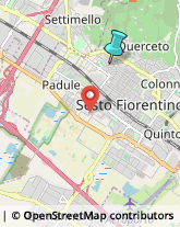 Palestre e Centri Fitness,50019Firenze