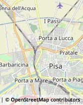 Piazza Santa Caterina, 6,56127Pisa