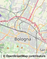 Via della Ca' Bianca, 3/8,40131Bologna