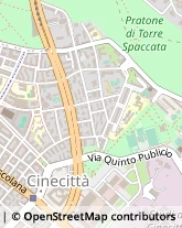 Via Guido Zanobini, 9,00175Roma