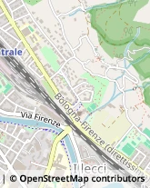 Viale Alcide de Gasperi, 31,59100Prato