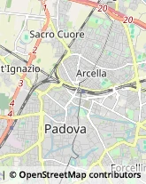 Partiti e Movimenti Politici,35121Padova