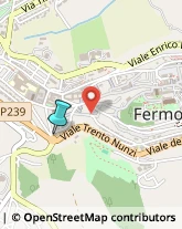 Medie - Scuole Private,63900Fermo