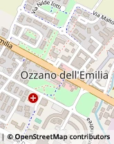 Via Fosse Ardeatine, 8,40064Ozzano dell'Emilia