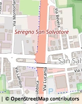 Viale della Repubblica, 174,20831Seregno