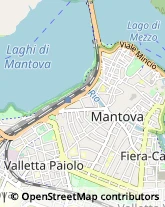 Corso Vittorio Emanuele II, 92,46100Mantova