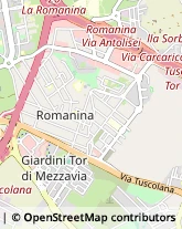 Via Vincenzo Manzini, 135,00173Roma