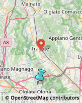 Traduttori ed Interpreti,21055Varese