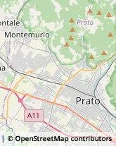 Viale Montegrappa, 16,59100Prato