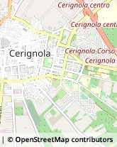 Viale Paolo Borsellino, 12,71042Cerignola