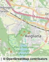 Aziende Agricole,10051Torino