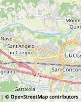 Via Carlo Massei, 78,55100Lucca