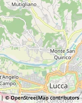 Via per Camaiore, 751,55100Lucca