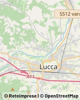 Trasporto Pubblico,55100Lucca