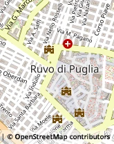 Corso Antonio Gramsci, 42,70037Ruvo di Puglia