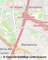 Aziende Sanitarie Locali (ASL),00173Roma