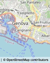 Via delle Grazie, 13/4,16128Genova