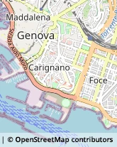 Via Corsica, 27/29/R,16128Genova