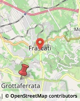 Viale San Nilo, 65,00046Grottaferrata