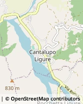 Via Borbera, 2,15060Cantalupo Ligure