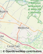 Via dell'Artigianato, 10,40023Castel Guelfo di Bologna